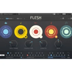 Native Instruments Flesh