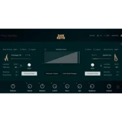 Native Instruments 24K Keys