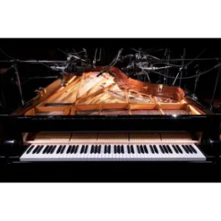 Native Instruments Noire