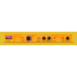 Native Instruments Psyche Delay