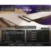 Native Instruments Sess. Guit. - Electric Vintage