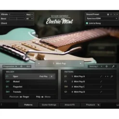 Native Instruments SessionGuitarist Electric Mint