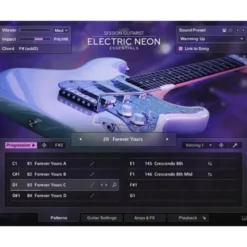 Native Instruments Session Guitarist - EN Essent.