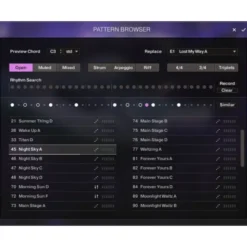 Native Instruments Session Guitarist - EN Essent.