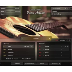 Native Instruments Session Guitarist Picked Acou.