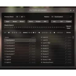 Native Instruments Session Guitarist Picked Acou.