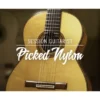 Native Instruments Session Guit. - Picked Nylon