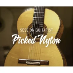 Native Instruments Session Guit. - Picked Nylon