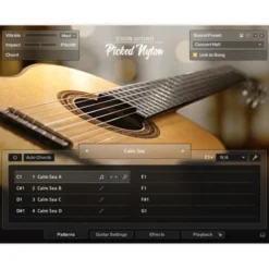 Native Instruments Session Guit. - Picked Nylon