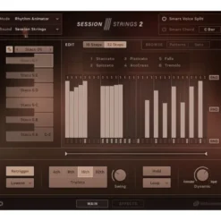 Native Instruments Session Strings 2