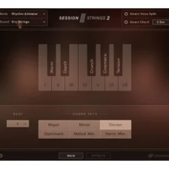 Native Instruments Session Strings 2