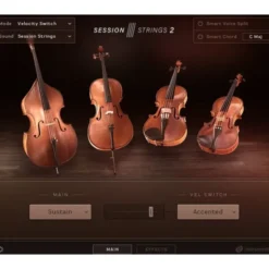 Native Instruments Session Strings 2