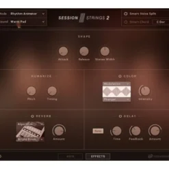 Native Instruments Session Strings 2