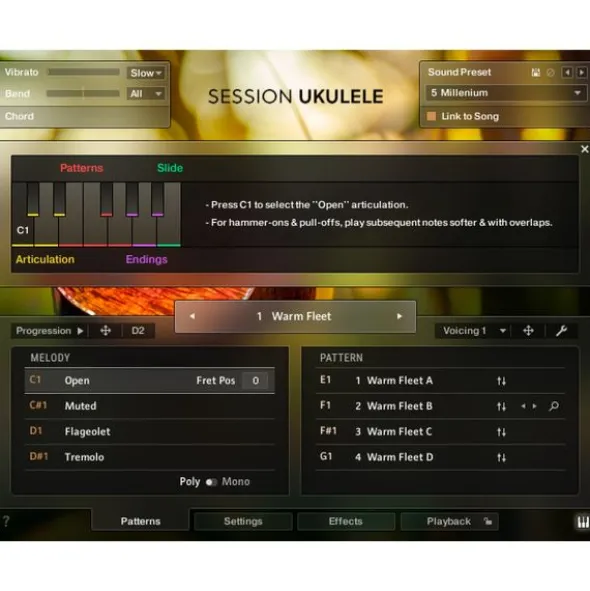 Native Instruments Session Ukulele