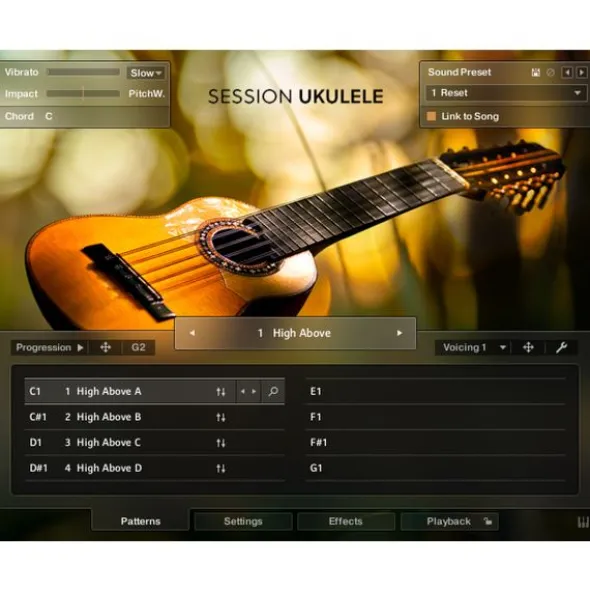 Native Instruments Session Ukulele