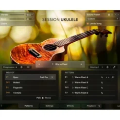 Native Instruments Session Ukulele
