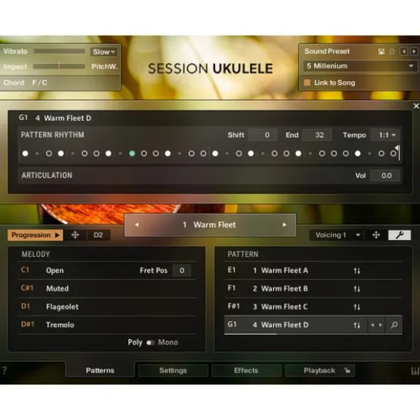 Native Instruments Session Ukulele