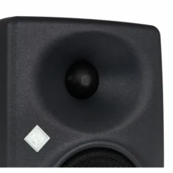 Neumann KH 80 DSP