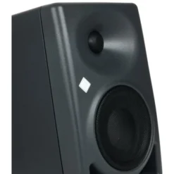 Neumann KH 120 II AES67
