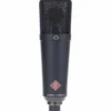 Neumann TLM 193