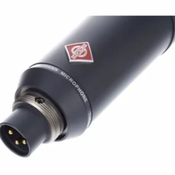 Neumann TLM 193