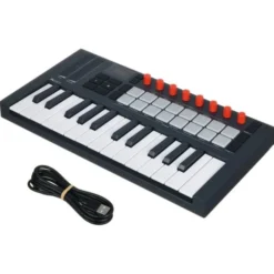 Novation FLkey 2 Mini 25