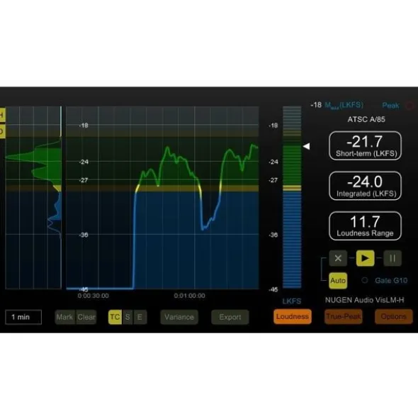 Nugen Audio VisLM