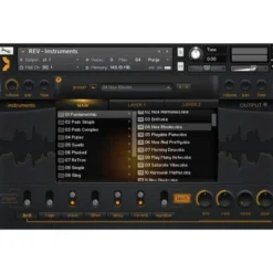 Output REV
