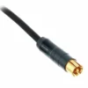pro snake Hifi RCA - XLR male cable