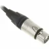 pro snake Stereo Y-Cable 5,0