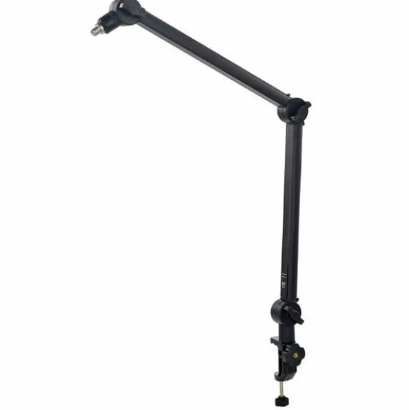 Roadworx Microphone Arm
