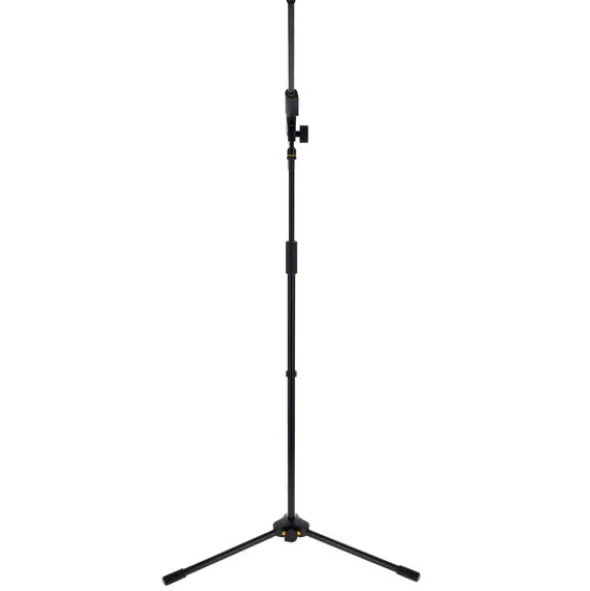 Roadworx Mic Stand Bundle