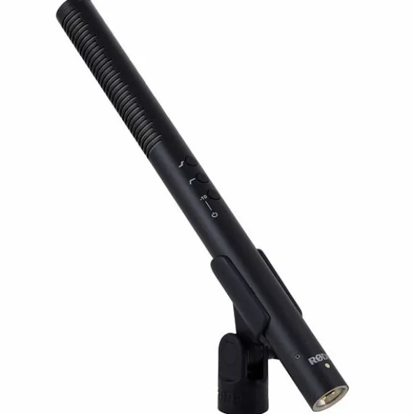 Rode NTG4+