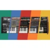 Roland Cloud Analog Polysynth Coll.