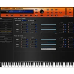 Roland Cloud SRX Strings