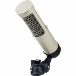Royer Labs R-10 MP
