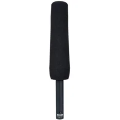 Sanken CS-2