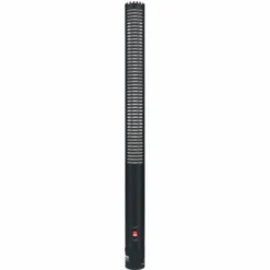 Sanken CS-2