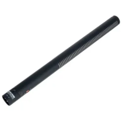 Sanken CS-2