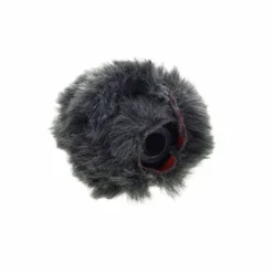 Schoeps W 20 RI