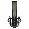 SE Electronics RNR1