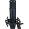 SE Electronics SE 2200
