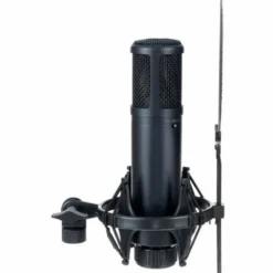SE Electronics SE 2200