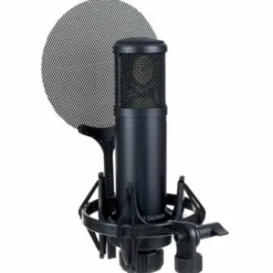 SE Electronics SE 2200