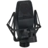 SE Electronics sE4100