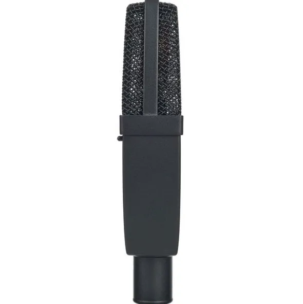 SE Electronics sE4100