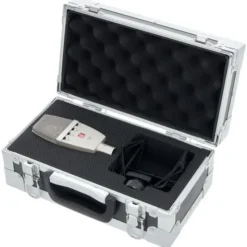 SE Electronics T2
