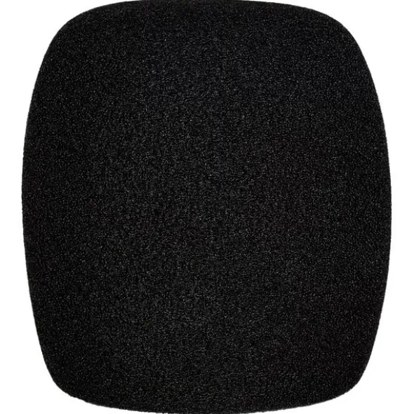 SE Electronics WS07 Windscreen