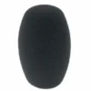 Sennheiser MZW1
