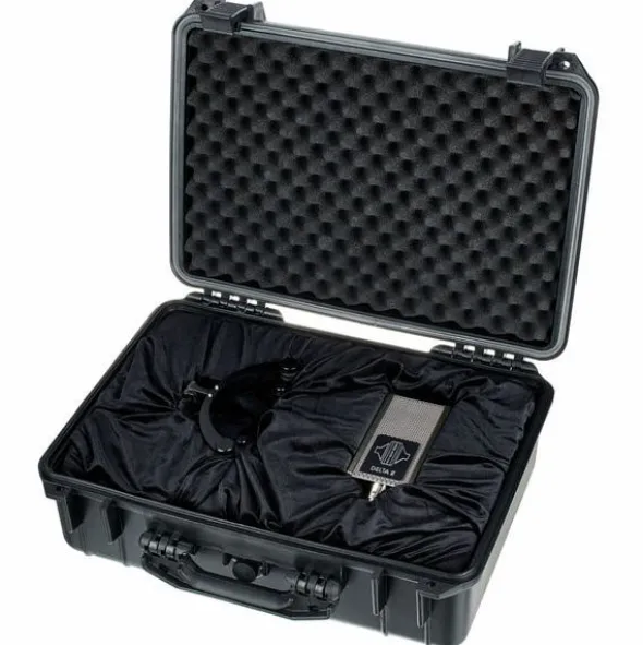 Sontronics Delta 2